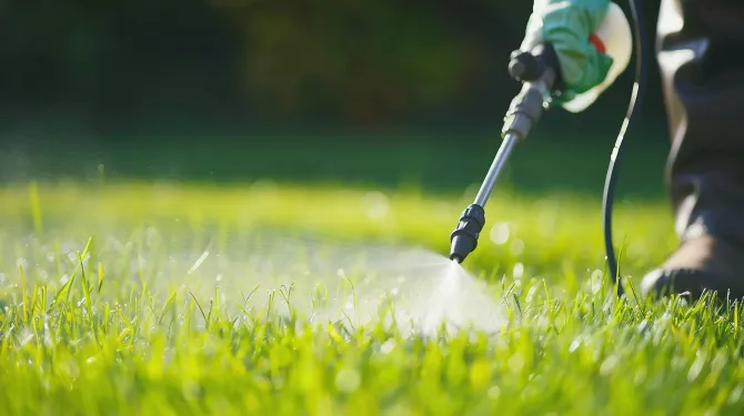 cancer pesticides