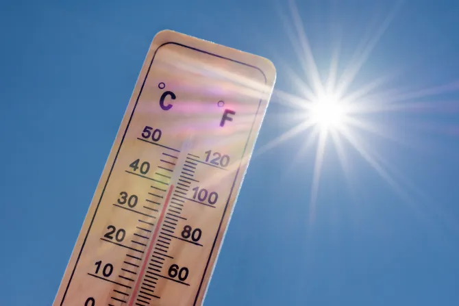 Alerte Canicule : Les bons réflexes pour protéger votre santé cet été 
