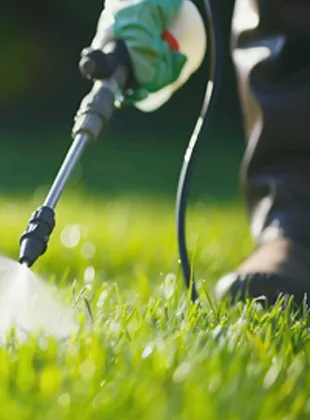 prevention_pesticides