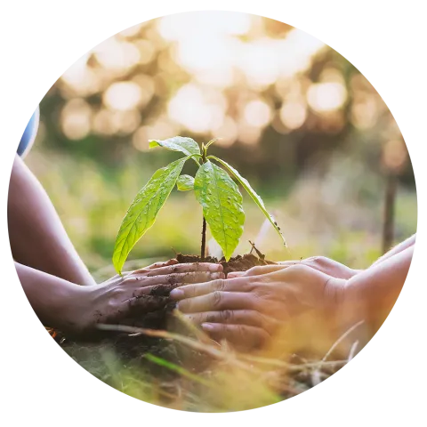 Santé environnementale